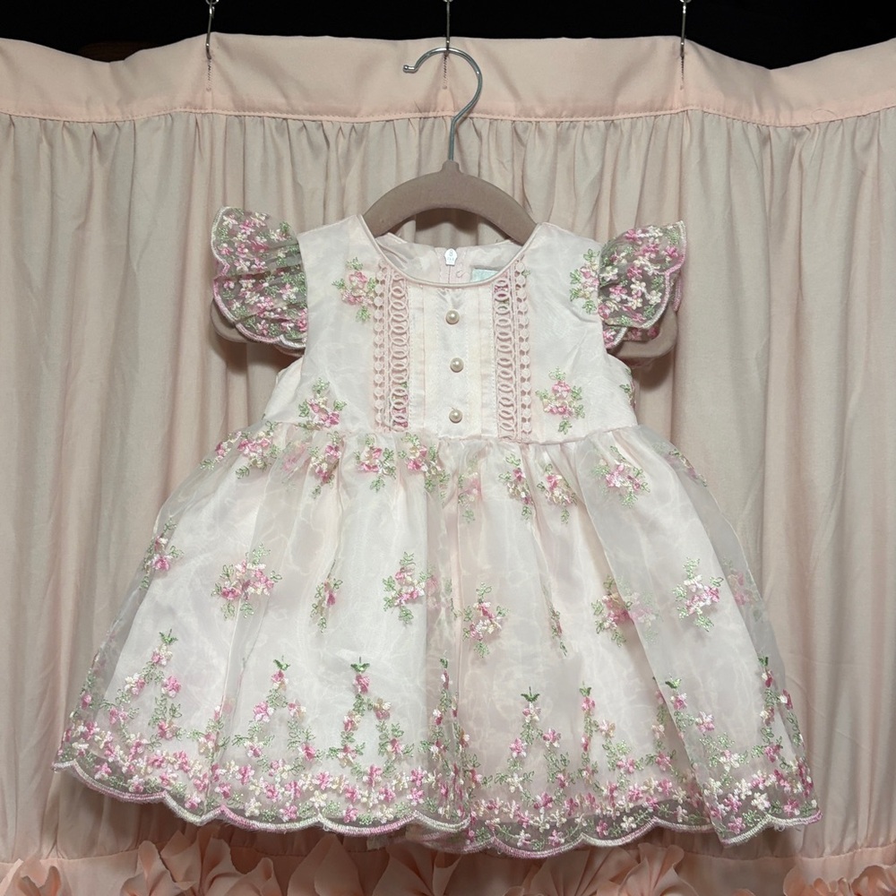 Rare Editions Floral Embroidered Baby Dress with bloomers